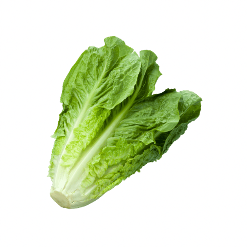 Coz Lettuce