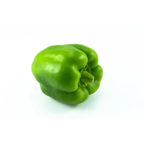 Capsicum