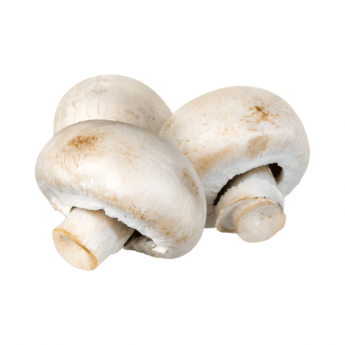 Cup Mushrooms