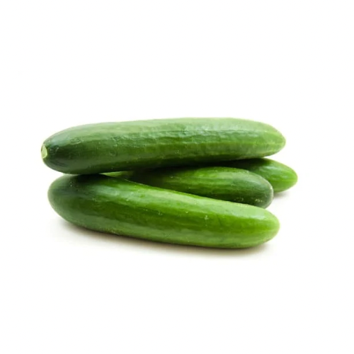 Lebanese Cucumber