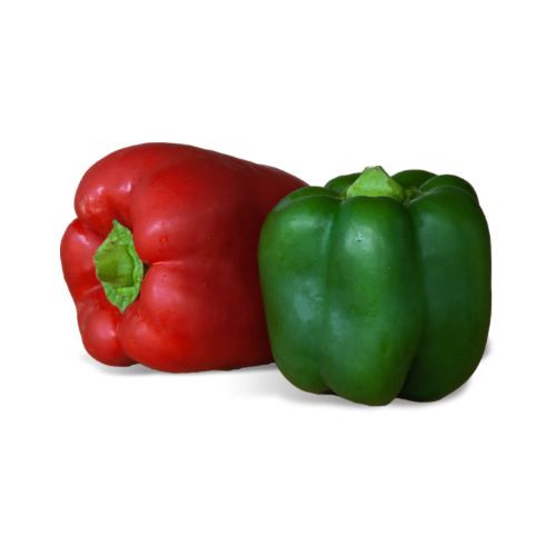 Capsicum