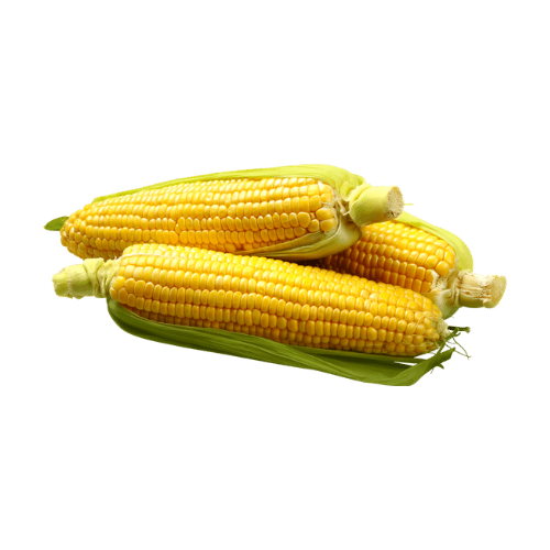 Corn