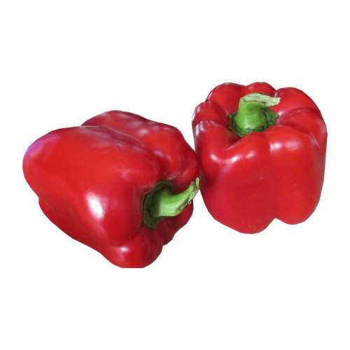 Capsicum