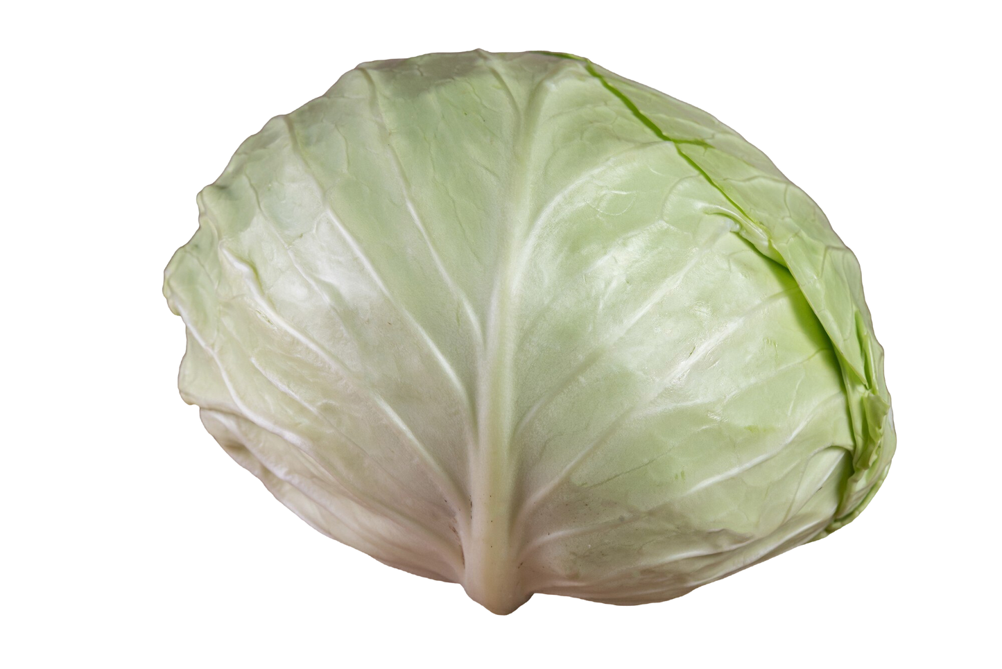 Cabbage (Green) Whole