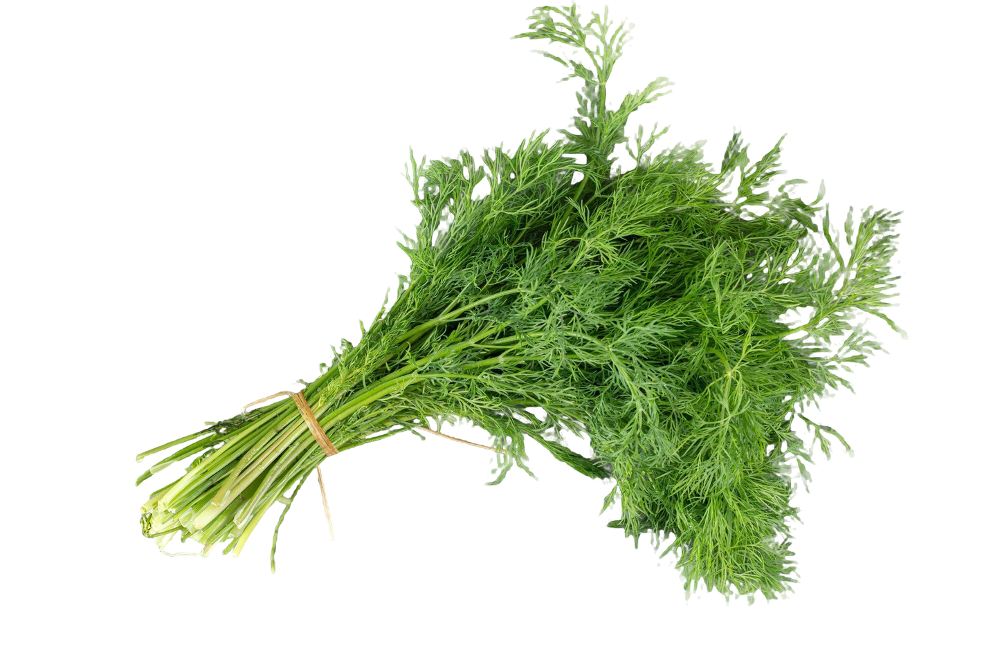 Dill