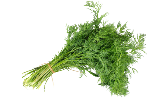 Dill