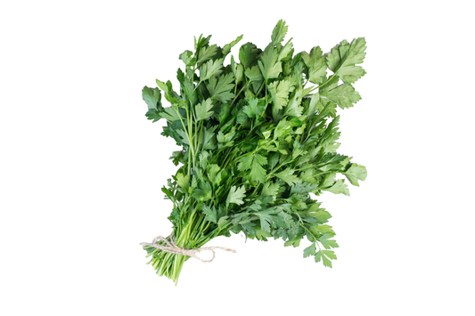 Parsley Continental (Flat Leaf)