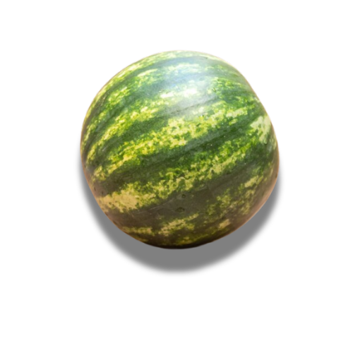 Tiger Watermelon 3kg rough weight